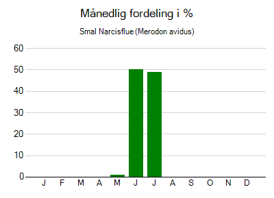 Smal Narcisflue - månedlig fordeling