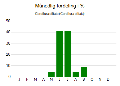 Cordilura ciliata - månedlig fordeling