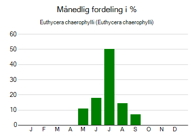 Euthycera chaerophylli - månedlig fordeling
