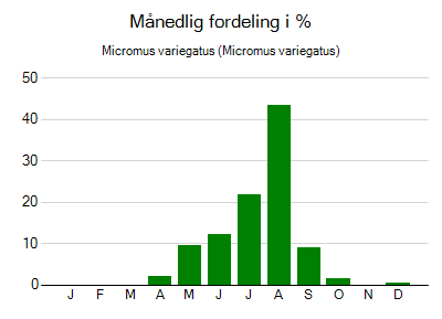 Micromus variegatus - månedlig fordeling