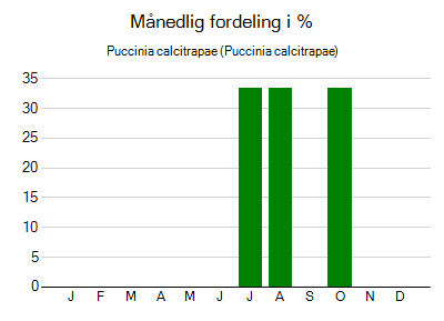 Puccinia calcitrapae - månedlig fordeling