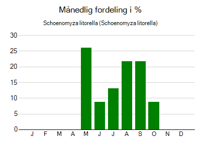 Schoenomyza litorella - månedlig fordeling