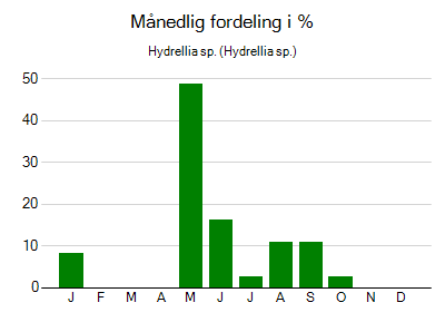 Hydrellia sp. - månedlig fordeling