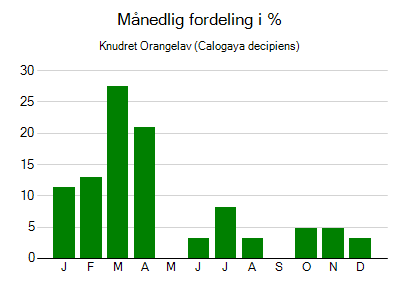 Knudret Orangelav - månedlig fordeling