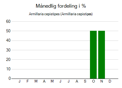 Armillaria cepistipes - månedlig fordeling