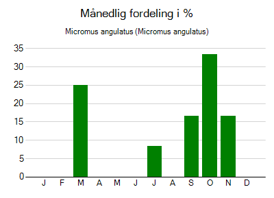 Micromus angulatus - månedlig fordeling