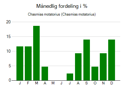 Chasmias motatorius - månedlig fordeling