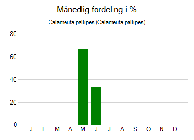 Calameuta pallipes - månedlig fordeling
