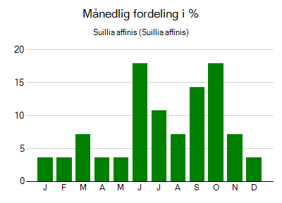 Suillia affinis - månedlig fordeling