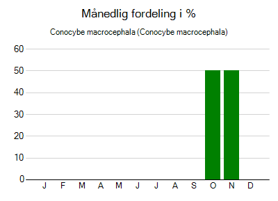 Conocybe macrocephala - månedlig fordeling