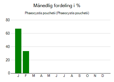 Phaeocystis pouchetii - månedlig fordeling
