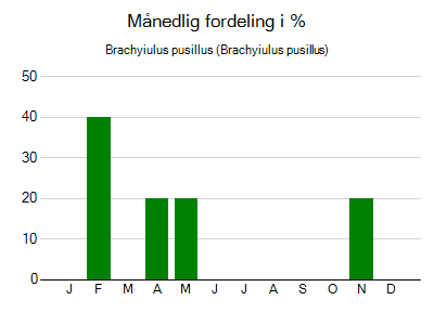 Brachyiulus pusillus - månedlig fordeling