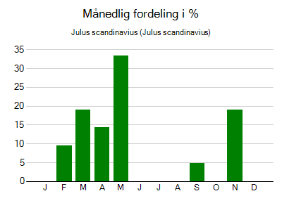 Julus scandinavius - månedlig fordeling