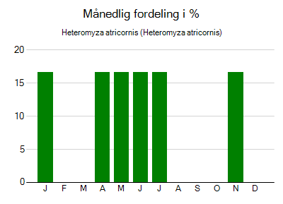 Heteromyza atricornis - månedlig fordeling