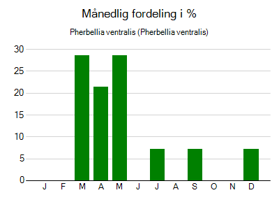 Pherbellia ventralis - månedlig fordeling