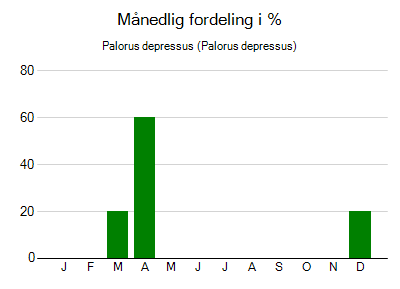 Palorus depressus - månedlig fordeling