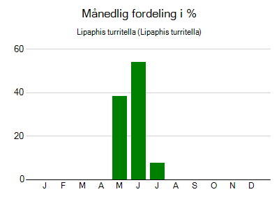 Lipaphis turritella - månedlig fordeling