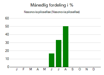 Nasonovia pilosellae - månedlig fordeling