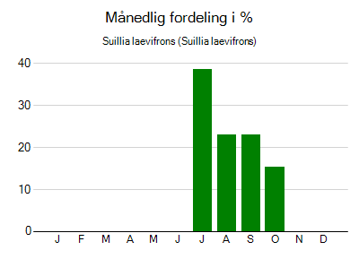 Suillia laevifrons - månedlig fordeling