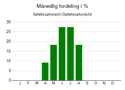 Saltella sphondylii - månedlig fordeling