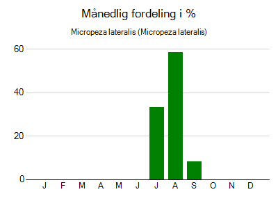 Micropeza lateralis - månedlig fordeling