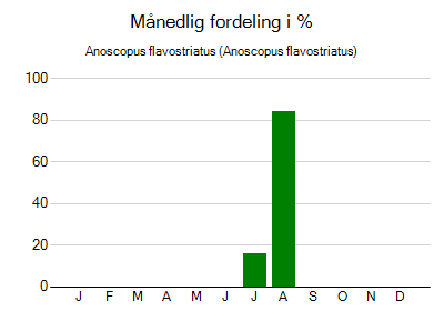Anoscopus flavostriatus - månedlig fordeling