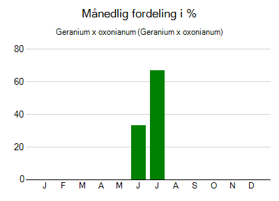 Geranium x oxonianum - månedlig fordeling