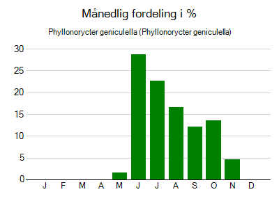 Phyllonorycter geniculella - månedlig fordeling