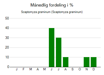 Scaptomyza graminum - månedlig fordeling