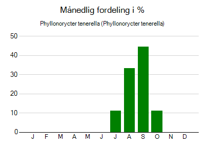 Phyllonorycter tenerella - månedlig fordeling