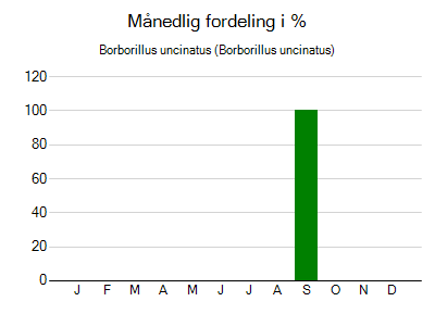Borborillus uncinatus - månedlig fordeling
