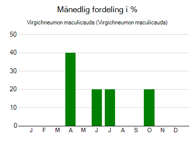 Virgichneumon maculicauda - månedlig fordeling
