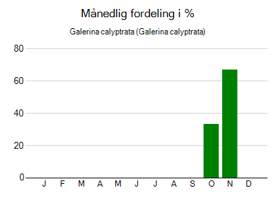 Galerina calyptrata - månedlig fordeling