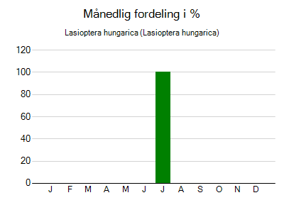 Lasioptera hungarica - månedlig fordeling