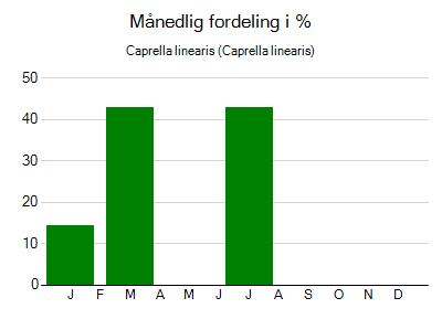 Caprella linearis - månedlig fordeling