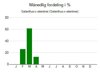 Galanthus x valentinei - månedlig fordeling