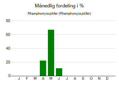Rhamphomyia pilifer - månedlig fordeling
