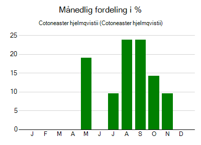 Cotoneaster hjelmqvistii - månedlig fordeling