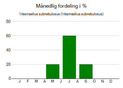 Wesmaelius subnebulosus - månedlig fordeling