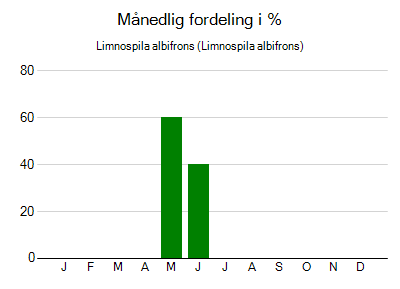 Limnospila albifrons - månedlig fordeling
