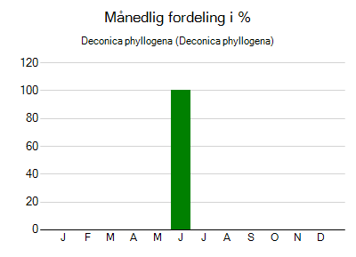 Deconica phyllogena - månedlig fordeling