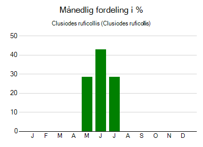Clusiodes ruficollis - månedlig fordeling