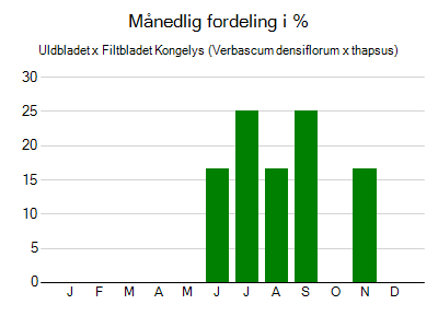 Uldbladet x Filtbladet Kongelys - månedlig fordeling