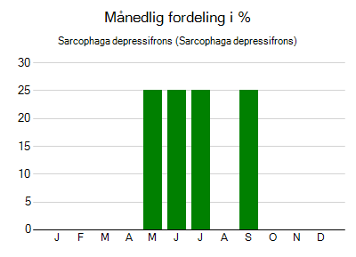 Sarcophaga depressifrons - månedlig fordeling