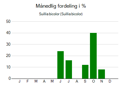 Suillia bicolor - månedlig fordeling