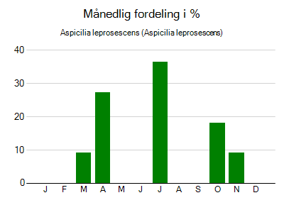 Aspicilia leprosescens - månedlig fordeling