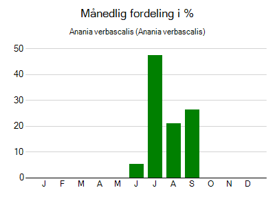 Anania verbascalis - månedlig fordeling