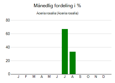 Aceria rosalia - månedlig fordeling