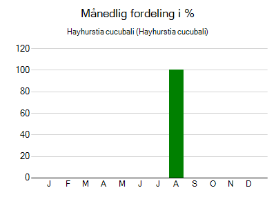 Hayhurstia cucubali - månedlig fordeling