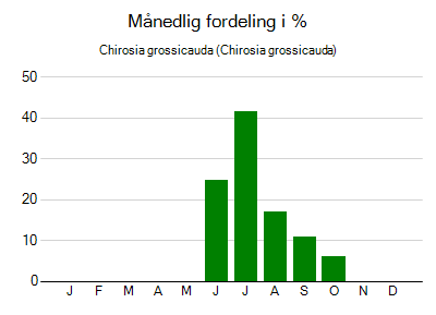 Chirosia grossicauda - månedlig fordeling
